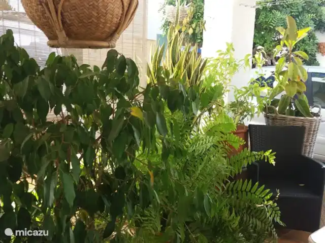 Residencia de lujo Casa Eline en Altea en España, Costa Blanca, Altea - casa vacacional terraza privada