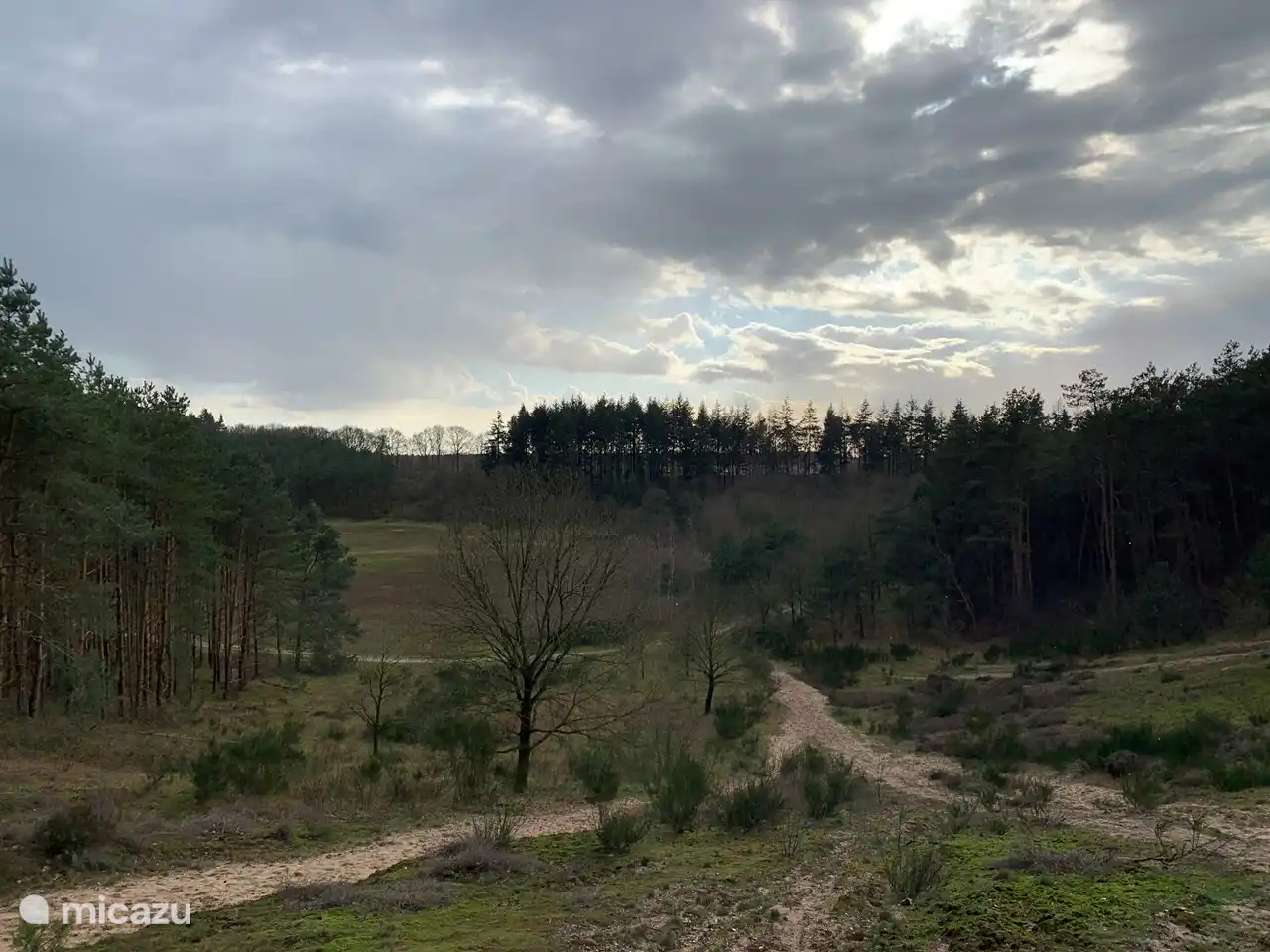 Antigua excavación de arena adyacente al sitio.