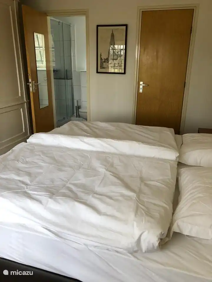 Dormitorio principal con baño en suite.