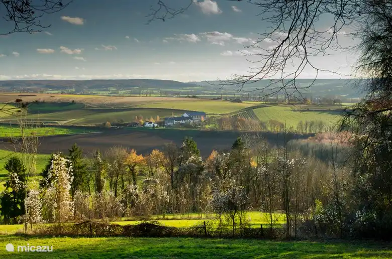 The South Limburg hilly landscape