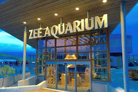 Zeeaquarium