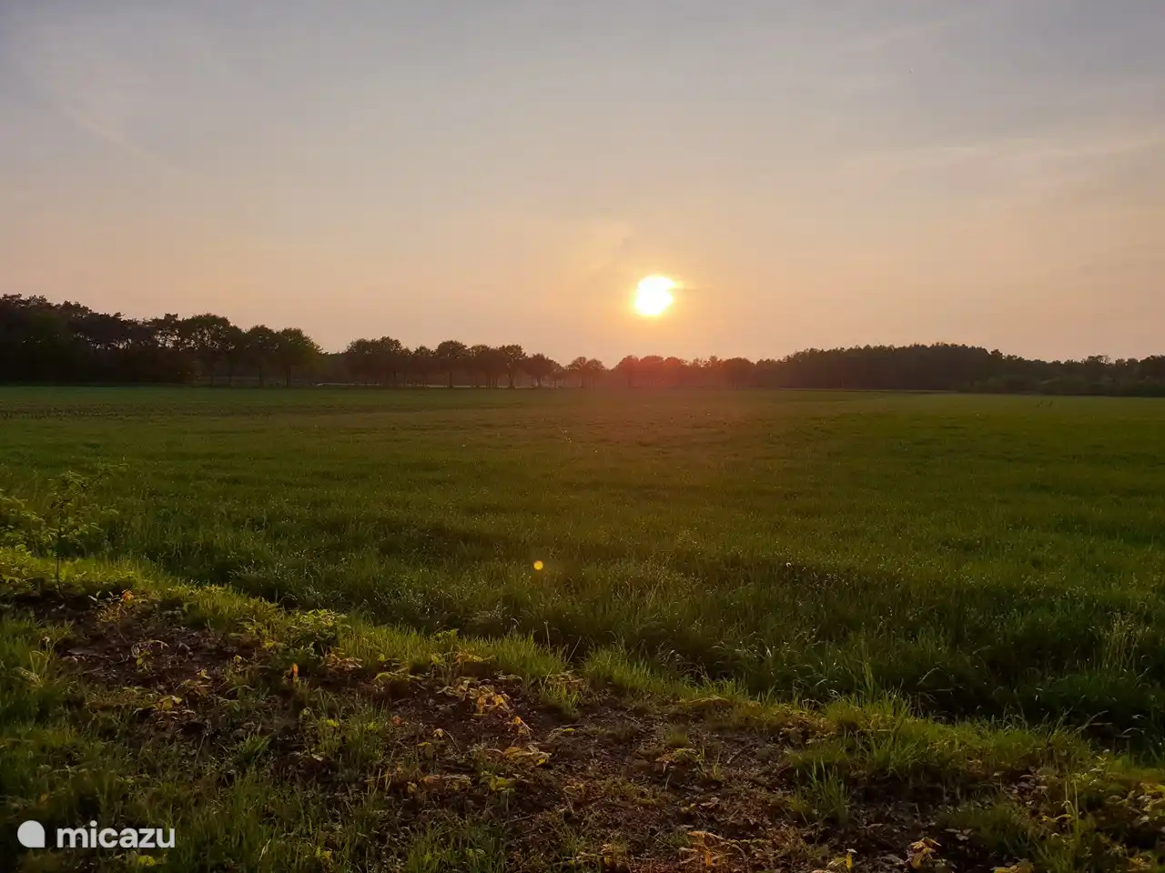 De Kievit in Niederlande, Nordbrabant, Riethoven - Bungalow