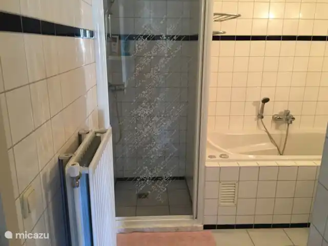 Location de Vacances Pays-Bas, Overijssel, Wanneperveen, appartement - Appartement avec vue sur le lac Giethoorn Douche et bain à remous