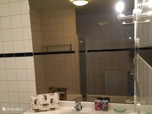 Location de Vacances Pays-Bas, Overijssel, Wanneperveen, appartement - Appartement avec vue sur le lac Giethoorn Lavabo