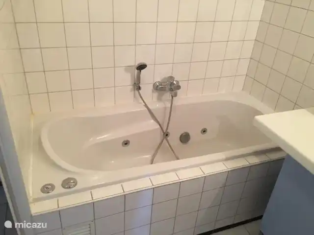Location de Vacances Pays-Bas, Overijssel, Wanneperveen, appartement - Appartement avec vue sur le lac Giethoorn Merveilleux bain moussant