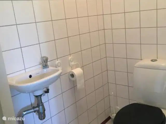 Location de Vacances Pays-Bas, Overijssel, Wanneperveen, appartement - Appartement avec vue sur le lac Giethoorn Toilette