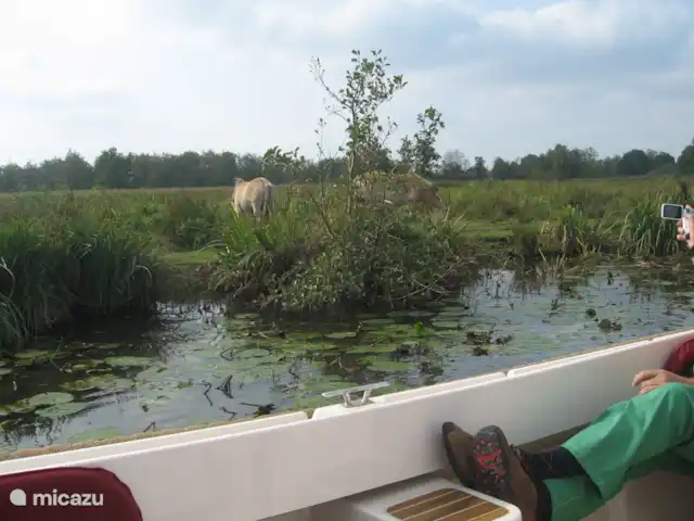 Location de Vacances Pays-Bas, Overijssel, Wanneperveen, appartement - Appartement avec vue sur le lac Giethoorn Environnement