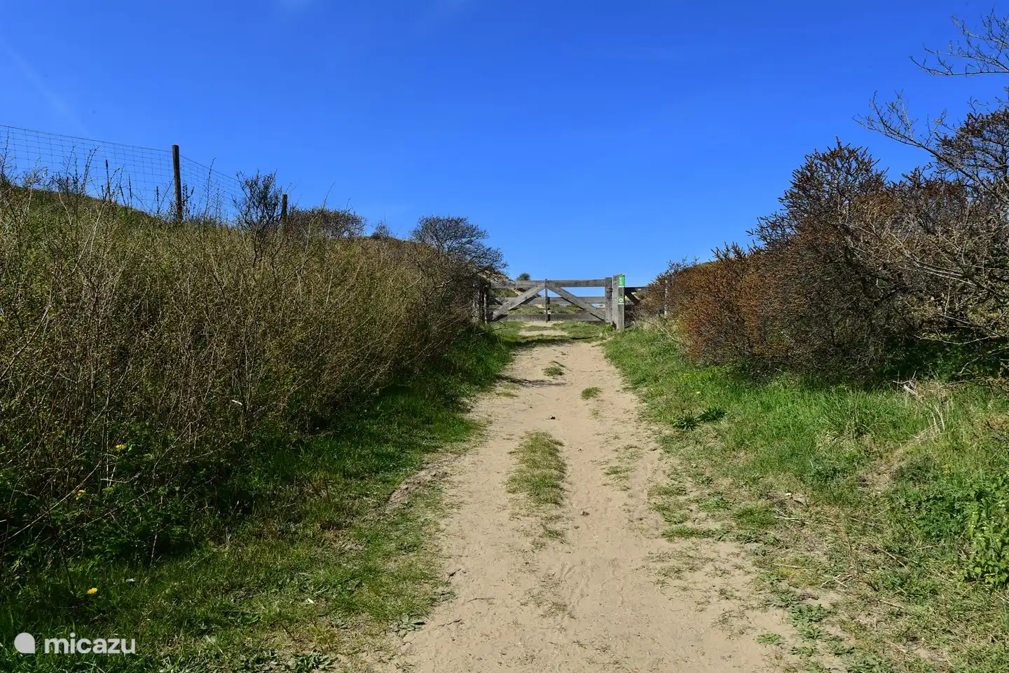 Direct access to the dunes from the house