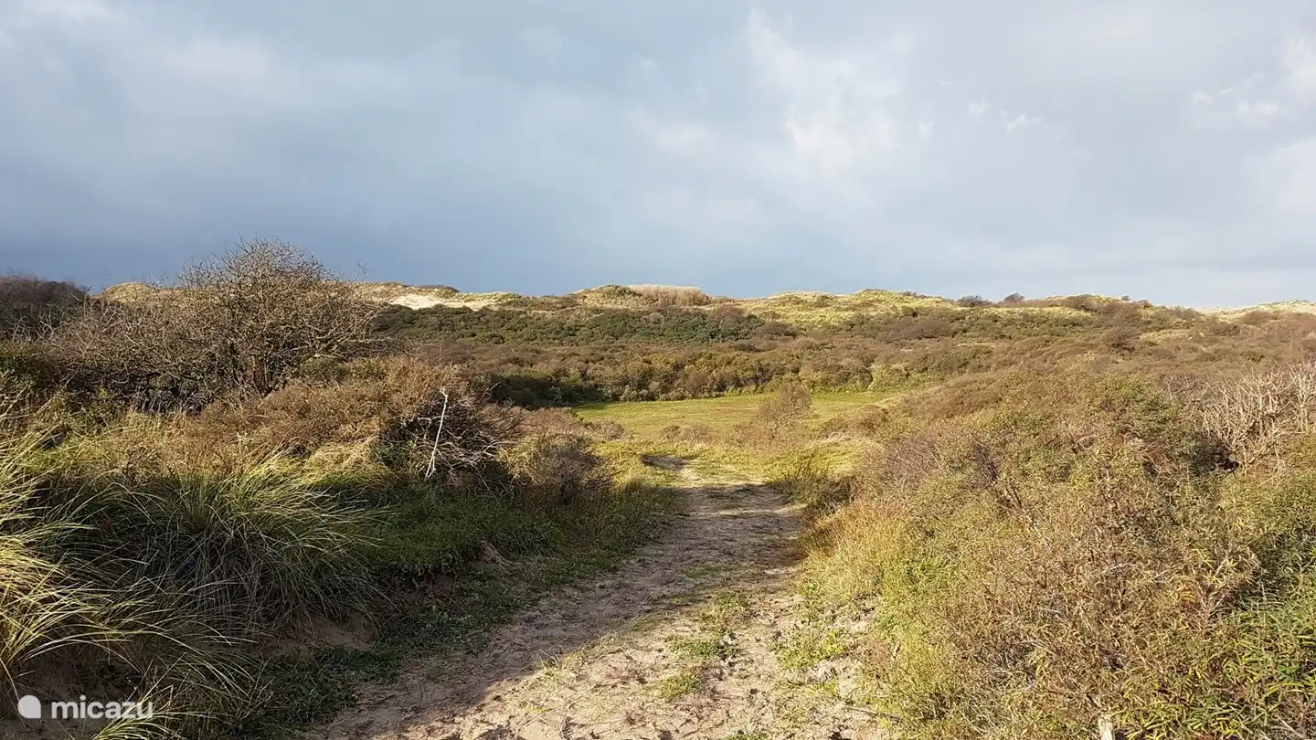 Dunes next to the house