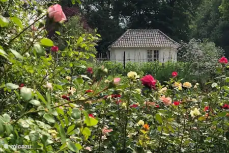 Vakantiehuis Nederland, Noord-Brabant, Loon op Zand landhuis / kasteel Het Neerhuis
