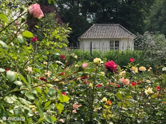 Het Neerhuis huren in Nederland, Noord-Brabant, Loon op Zand - landhuis / kasteel
