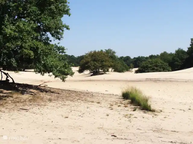 Het Neerhuis huren in Nederland, Noord-Brabant, Loon op Zand - landhuis / kasteel