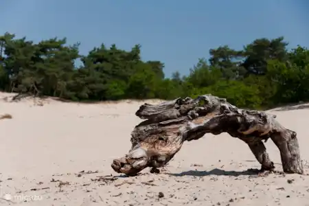 Vakantiehuis Nederland, Noord-Brabant, Loon op Zand landhuis / kasteel Het Neerhuis