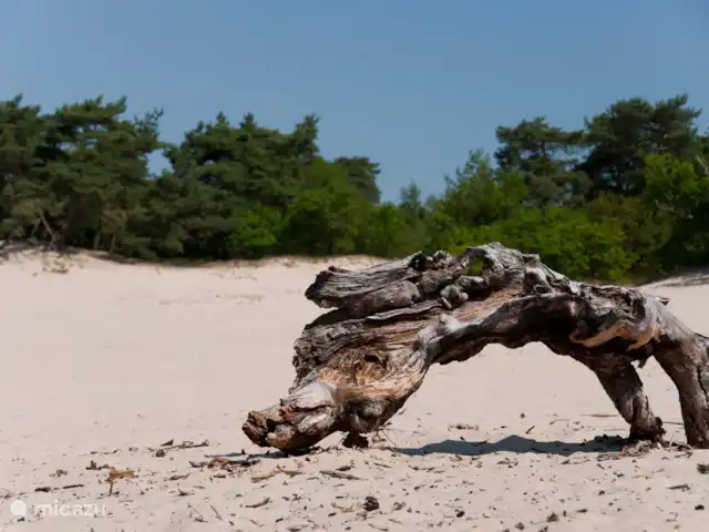 Het Neerhuis huren in Nederland, Noord-Brabant, Loon op Zand - landhuis / kasteel