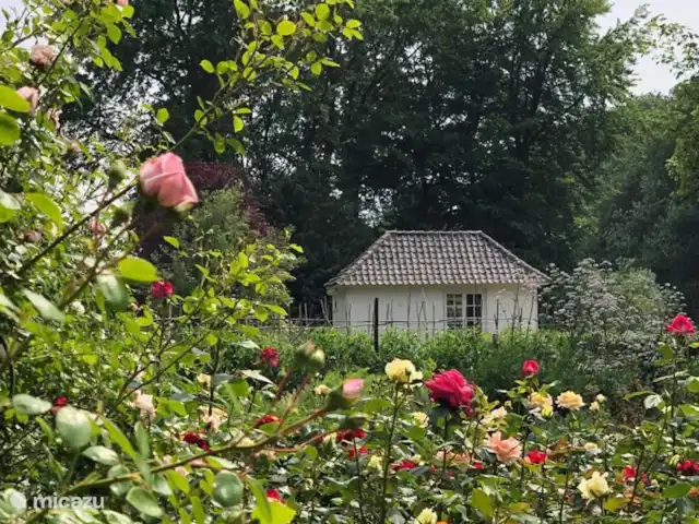 Het Theehuis in Nederland, Noord-Brabant, Loon op Zand - landhuis / kasteel