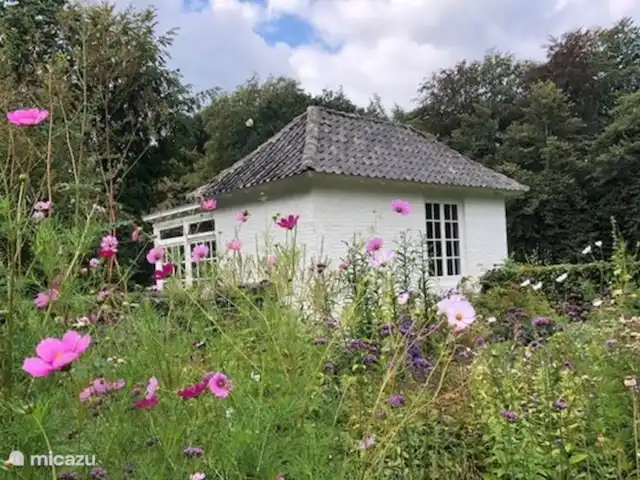 Het Theehuis in Nederland, Noord-Brabant, Loon op Zand - landhuis / kasteel