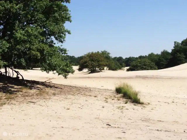 Het Theehuis in Nederland, Noord-Brabant, Loon op Zand - landhuis / kasteel