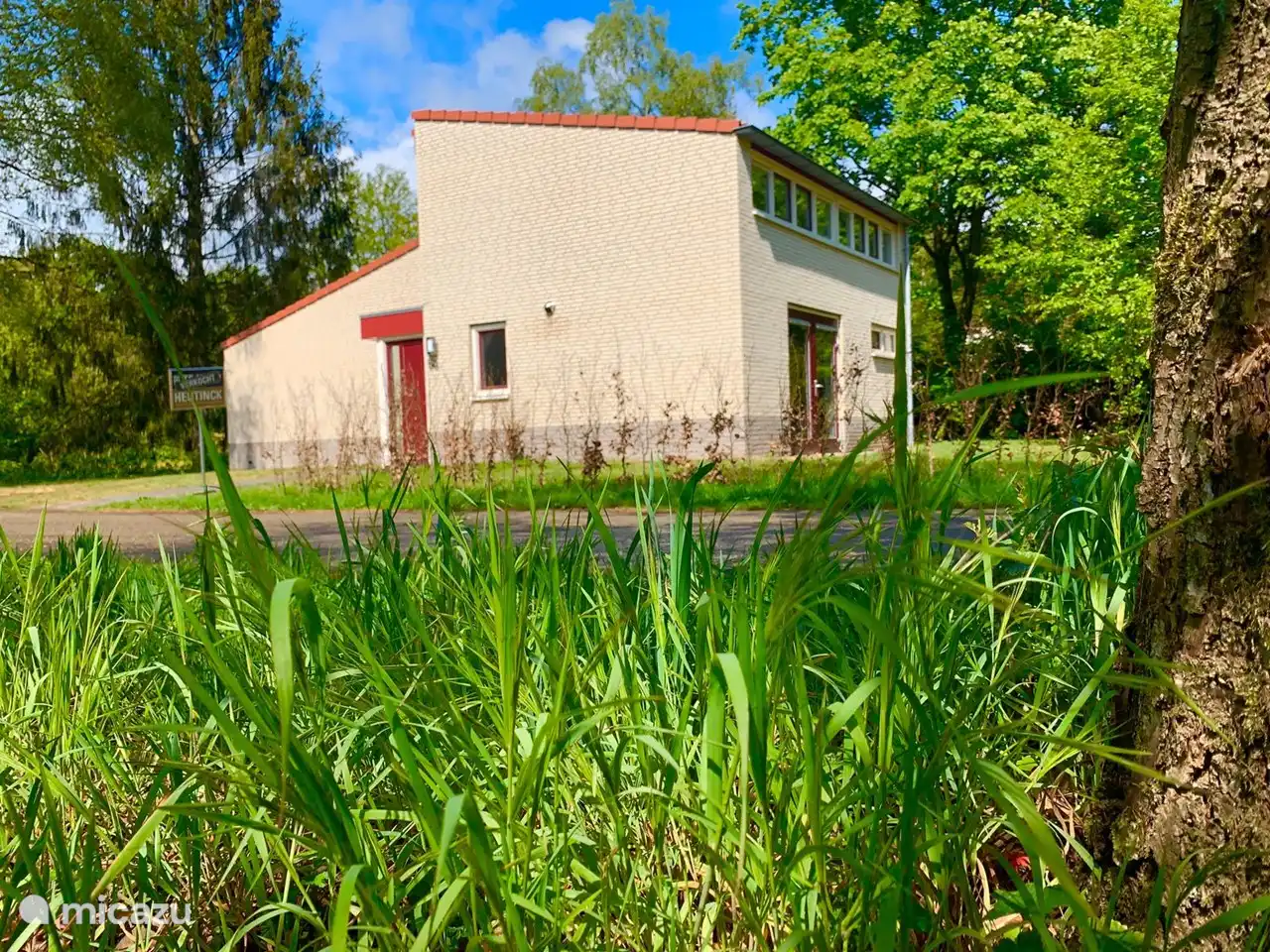 casa vacacional, Zelhem, Güeldres, Países Bajos - bosque de vacaciones