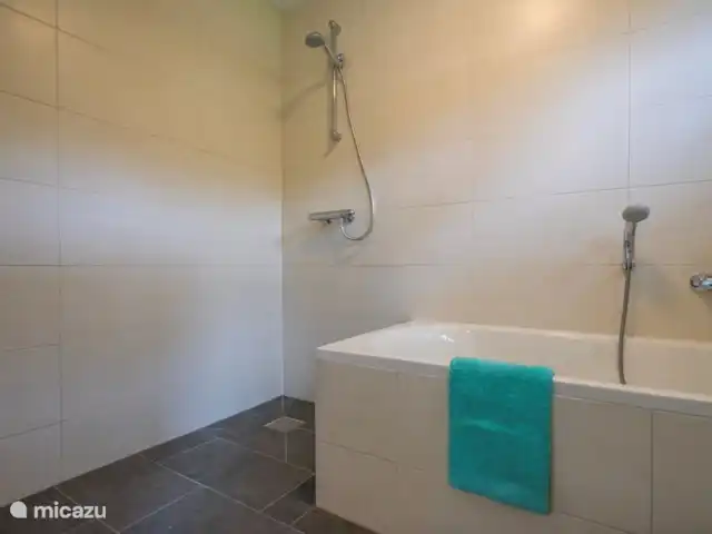Vacances en forêt | Pays-Bas, Gueldre, Halle - maison de vacances Salle de bain attenante au rez-de-chaussée