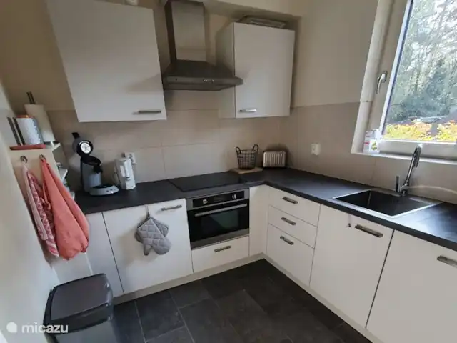 Vacances en forêt | Pays-Bas, Gueldre, Halle - maison de vacances Cuisine séparée spacieuse avec plaque à induction, lave-vaisselle et four micro-ondes combiné