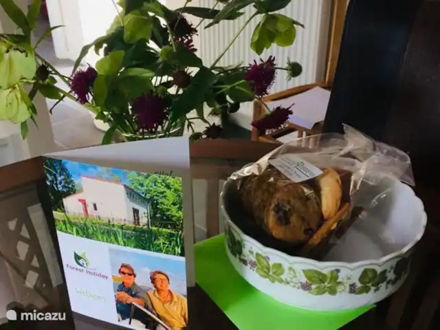 Vacances en forêt | Pays-Bas, Gueldre, Halle - maison de vacances Bienvenue à Hal