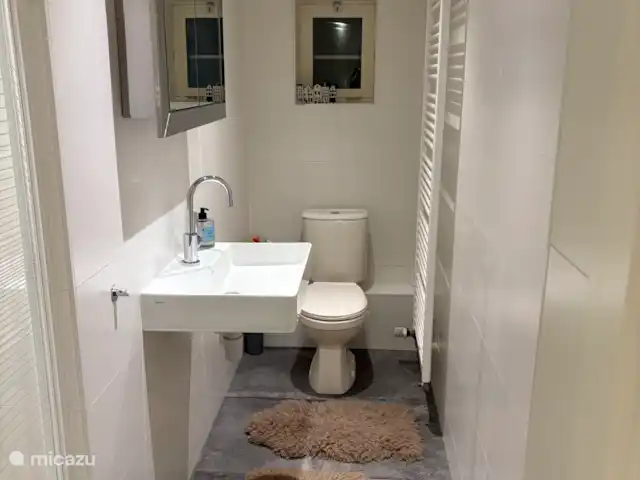 Maison forestière indépendante | Pays-Bas, Brabant-Septentrional, Baarle-Nassau - maison de vacances Salle de bain au rez-de-chaussée avec douche