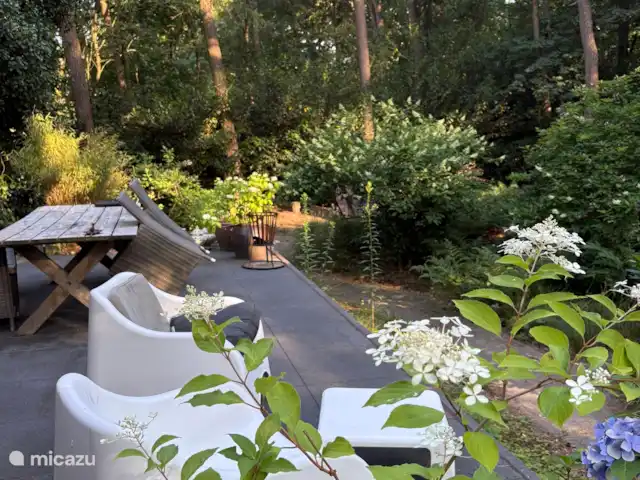 Maison forestière indépendante | Pays-Bas, Brabant-Septentrional, Baarle-Nassau - maison de vacances