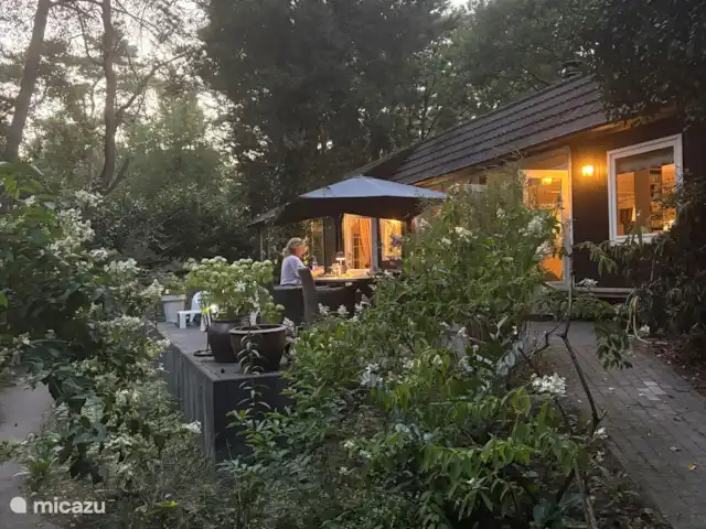 Maison forestière indépendante | Pays-Bas, Brabant-Septentrional, Baarle-Nassau - maison de vacances