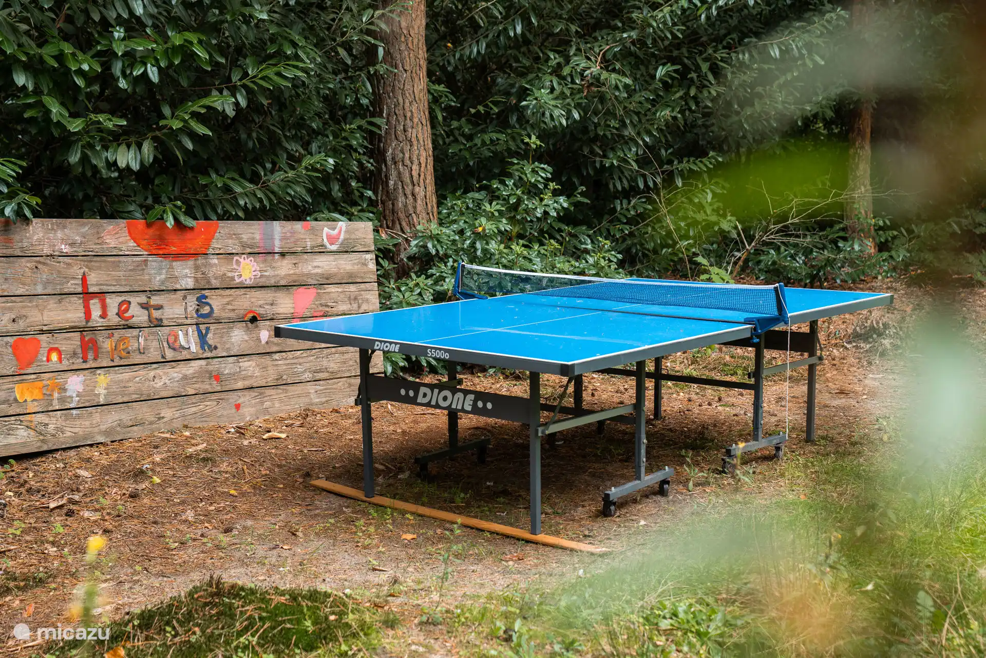 Dehors, vous trouverez une table de tennis de table