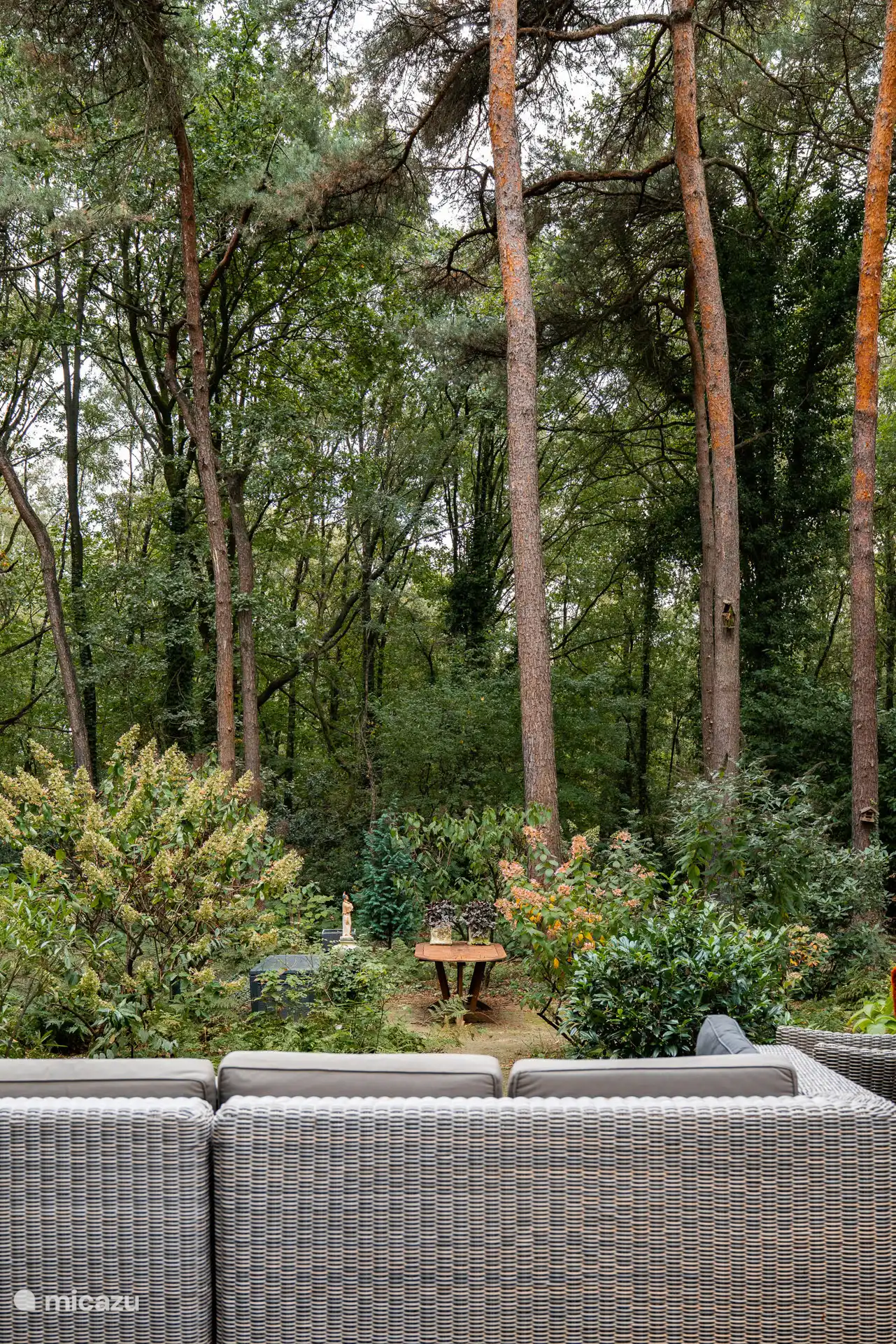Belle vue sur le jardin privé
