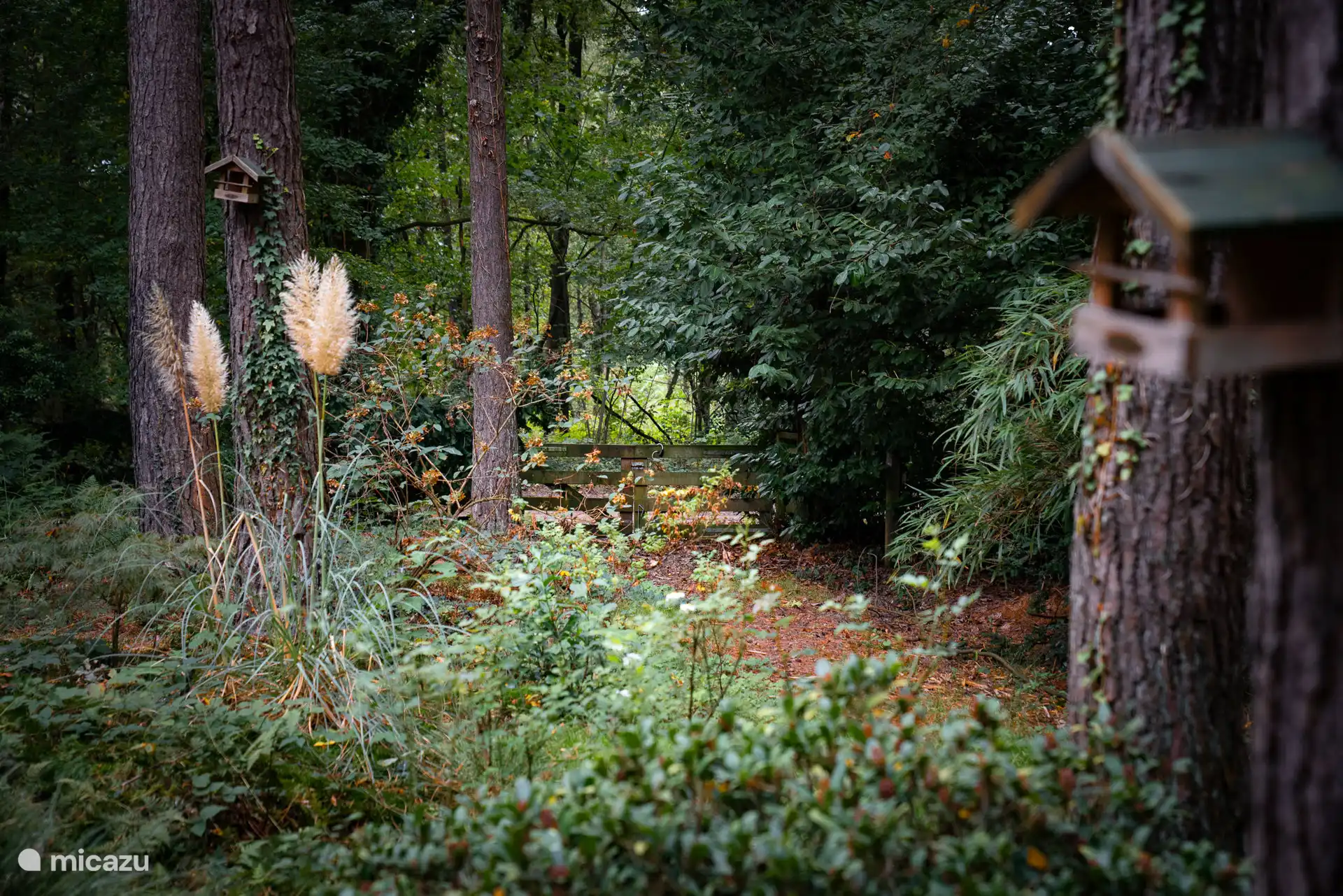 Arrière de la maison avec clôture menant au sentier sablonneux