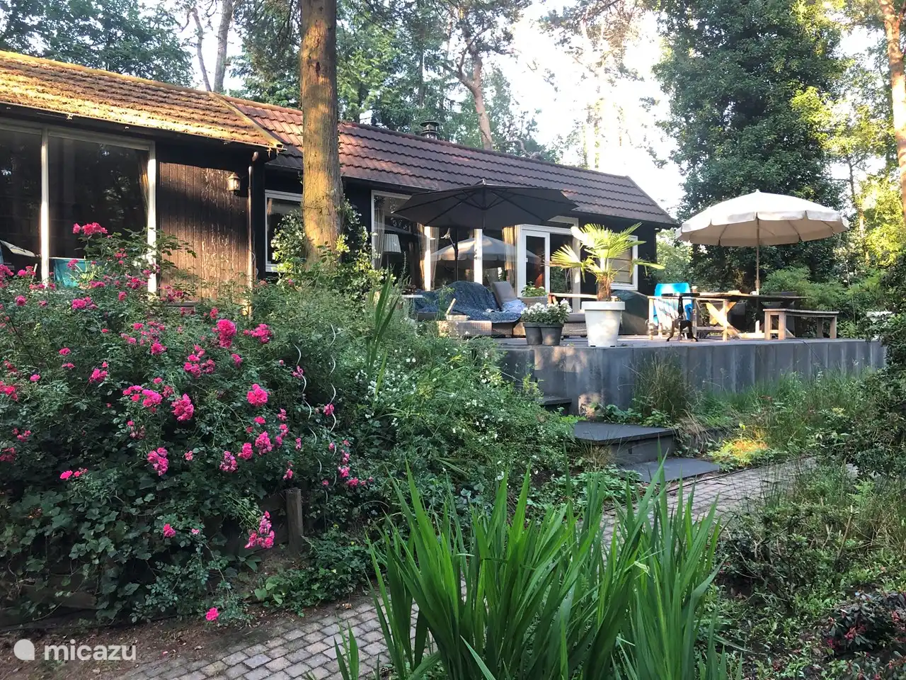 Freistehendes Waldhaus in Niederlande, Nordbrabant, Baarle-Nassau - Ferienhaus