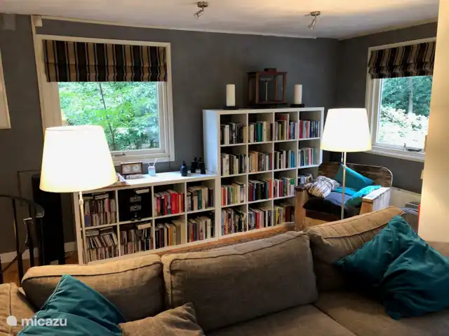 Maison forestière indépendante | Pays-Bas, Brabant-Septentrional, Baarle-Nassau - maison de vacances Arrière du salon avec des livres, des CD et une belle chaîne stéréo