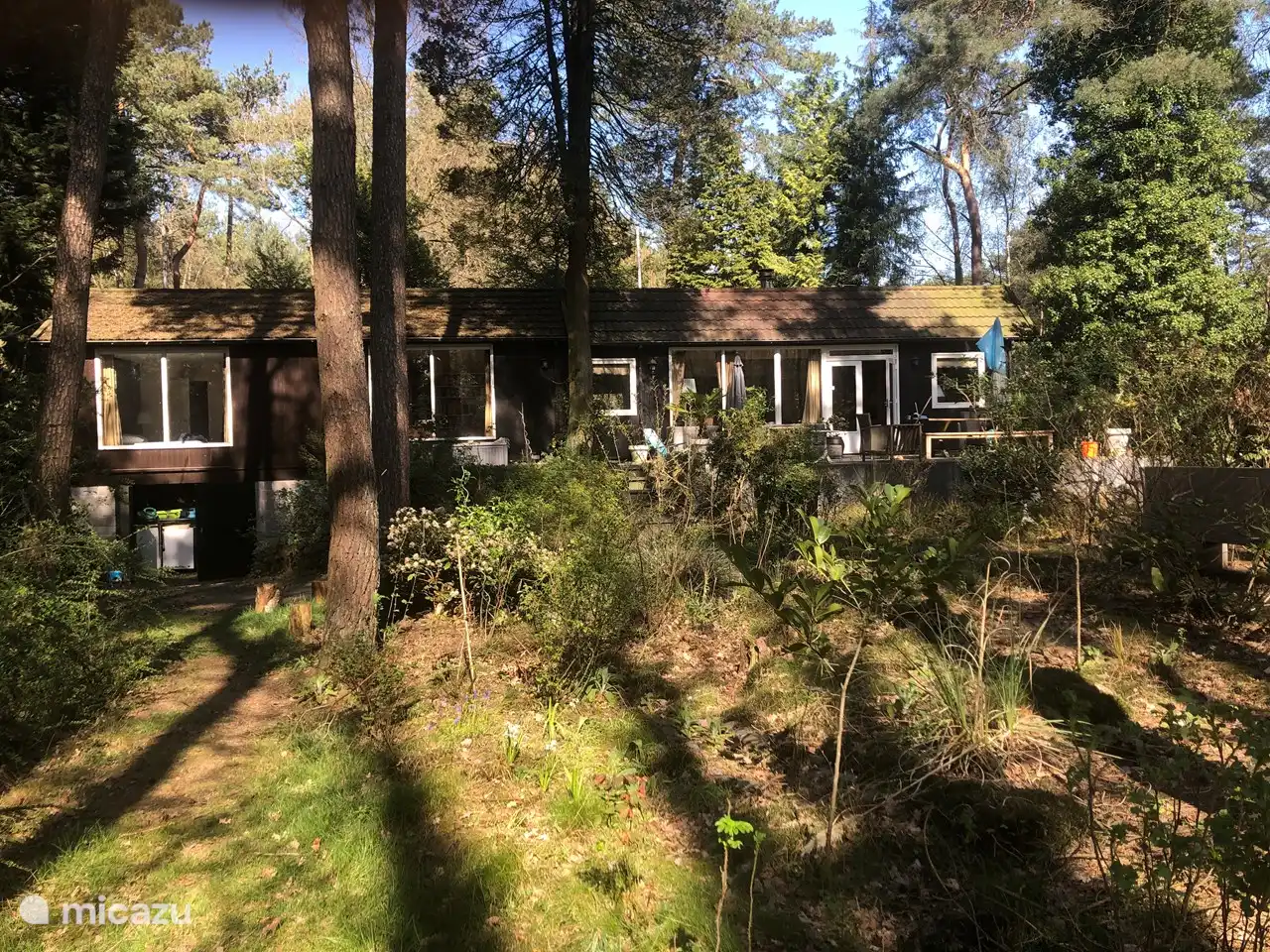 Freistehendes Waldhaus in Niederlande, Nordbrabant, Baarle-Nassau - Ferienhaus