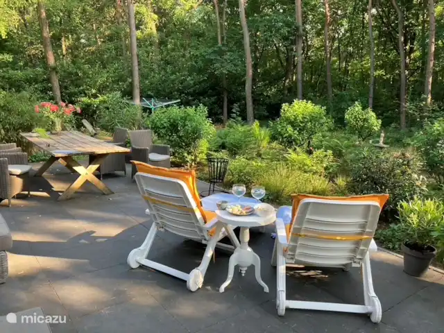 Maison forestière indépendante | Pays-Bas, Brabant-Septentrional, Baarle-Nassau - maison de vacances