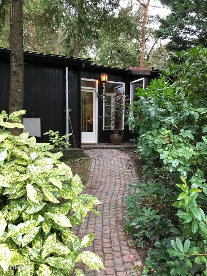 Freistehendes Waldhaus in Niederlande, Nordbrabant, Baarle-Nassau - Ferienhaus