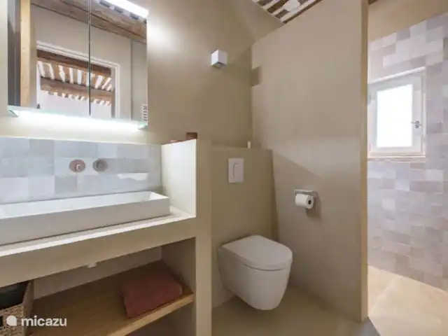 Villa des Roches | France, Vaucluse, Apt - villa Salle de bain attenante dans la chambre 3 avec douche à effet pluie, lavabo et toilettes