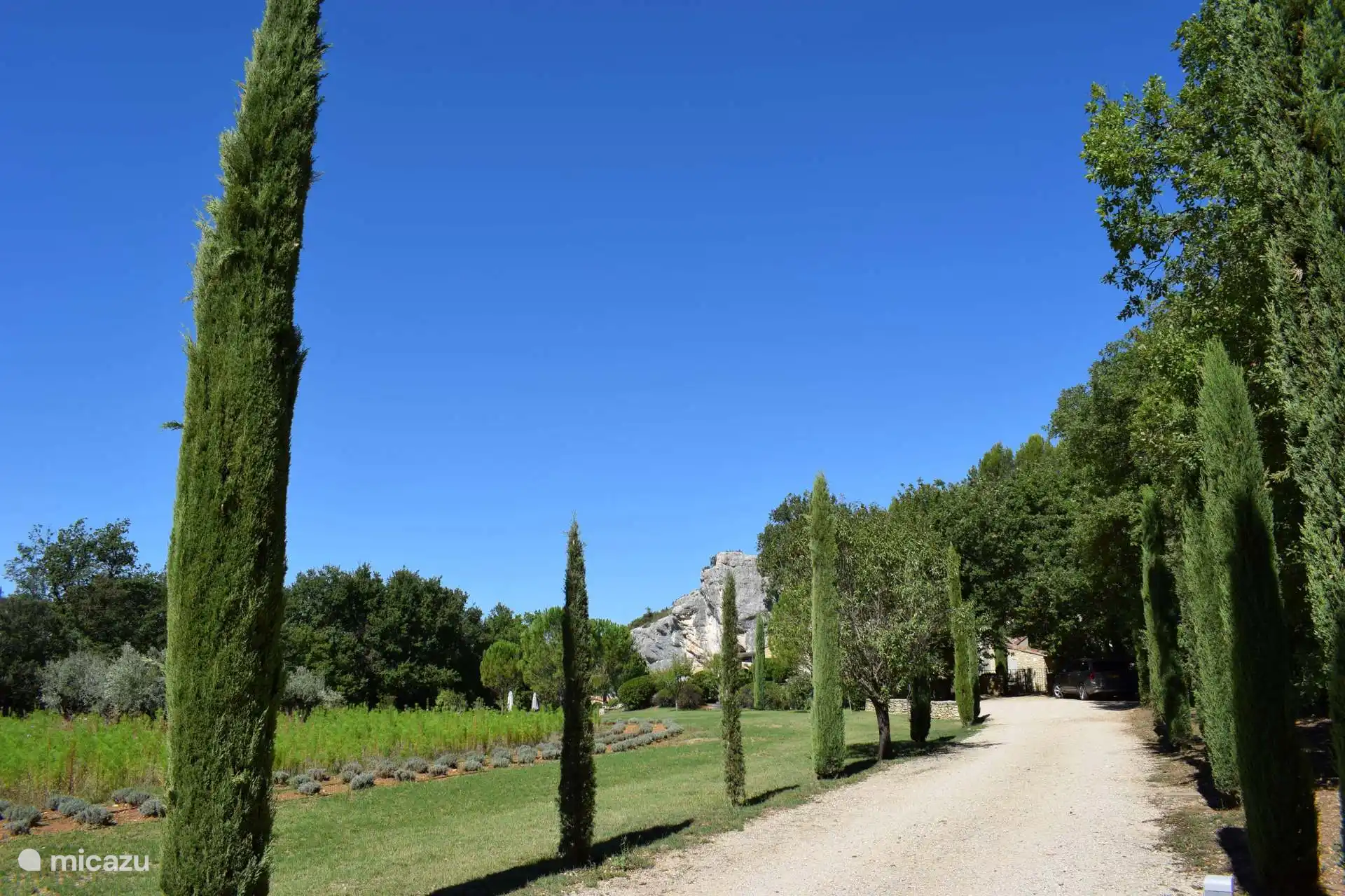 Auffahrt mit Zypressen