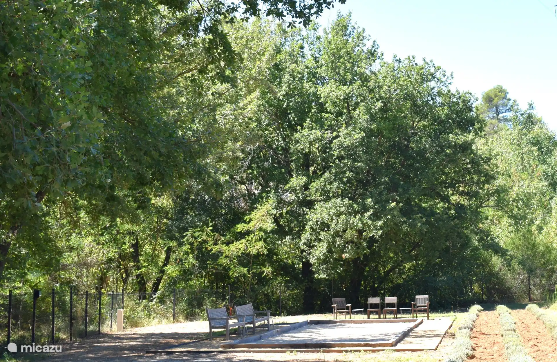 Piste Pétanque, im Schatten der Bäume neben dem Lavendel und dem Blumenfeld!