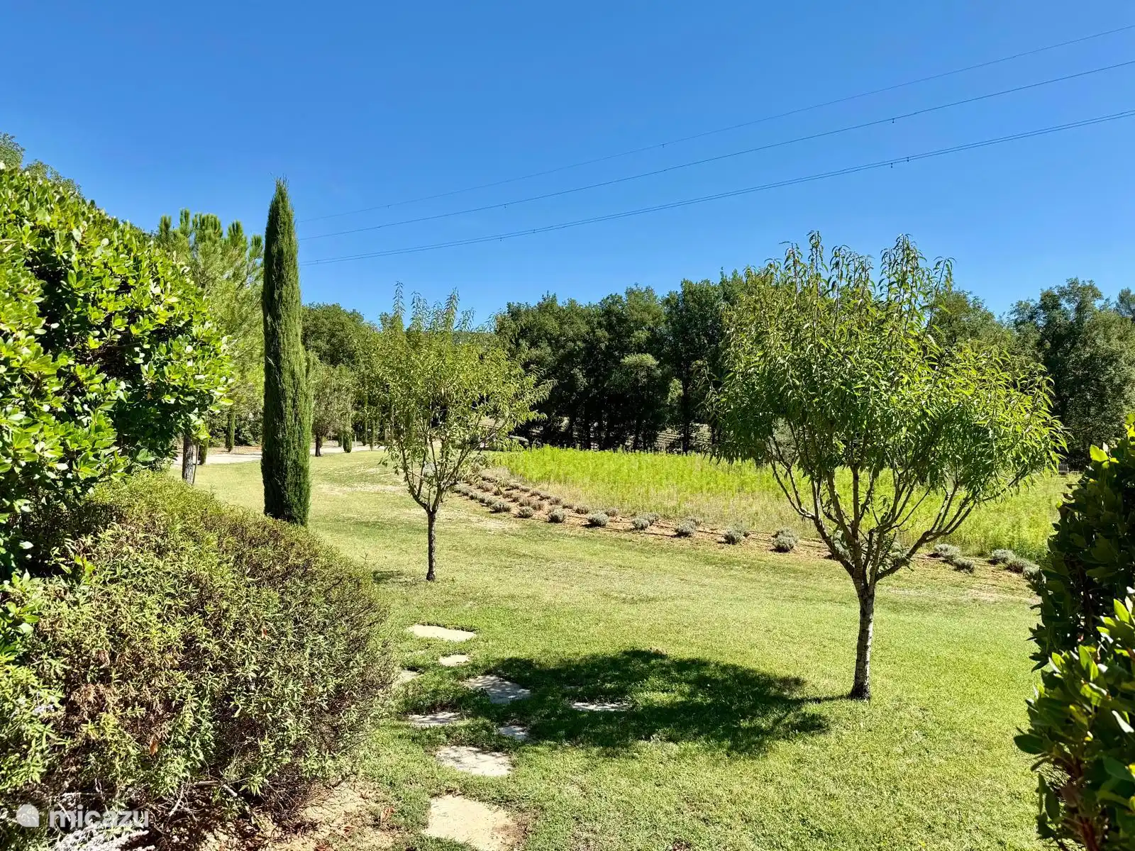 Blick von der Hauptterrasse