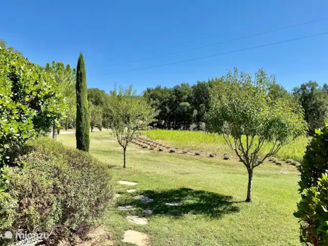 Villa des Roches | France, Vaucluse, Apt - villa Vue depuis la terrasse principale