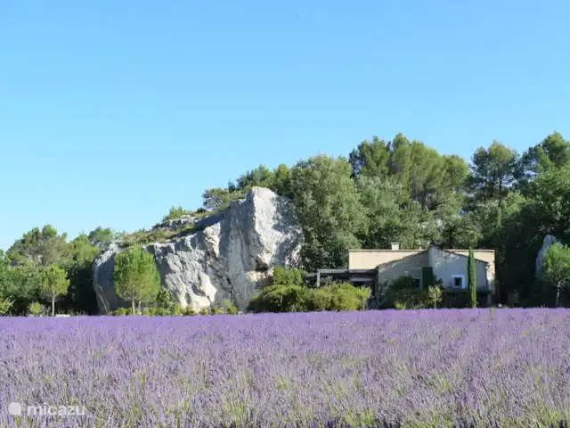 Villa des Roches | France, Vaucluse, Apt - villa Villa des rocs, un havre de paix sous le vent des rochers !