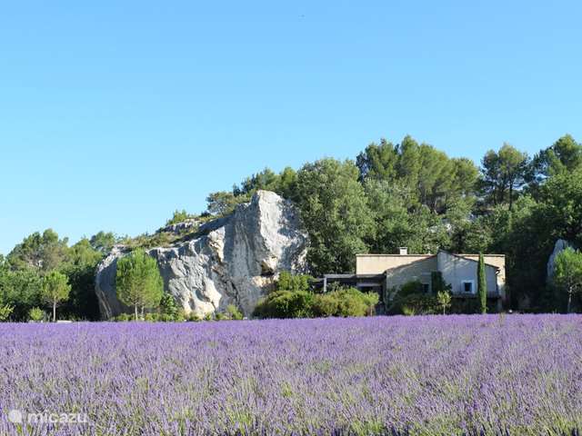 Casa vacacional Francia, Vaucluse, Rosellón - villa villa de las rocas