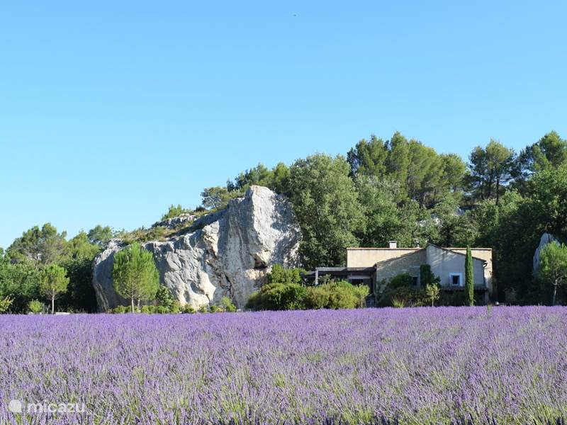 Casa vacacional Francia, Vaucluse, Apt Villa villa de las rocas