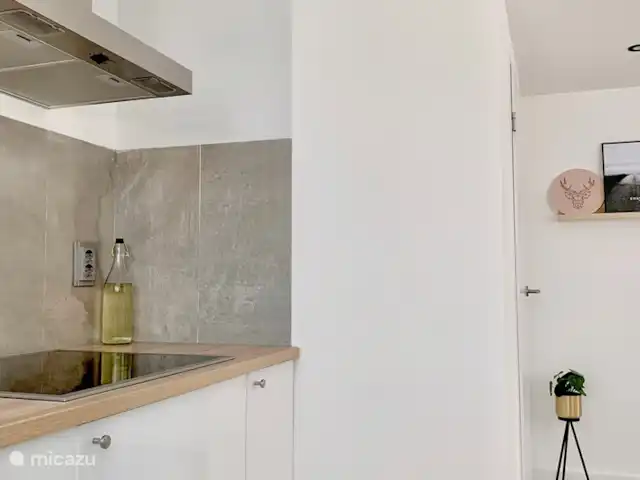 Liv Residence Casa de vacaciones y sauna en Países Bajos, Güeldres, Ermelo - casa vacacional La cocina.