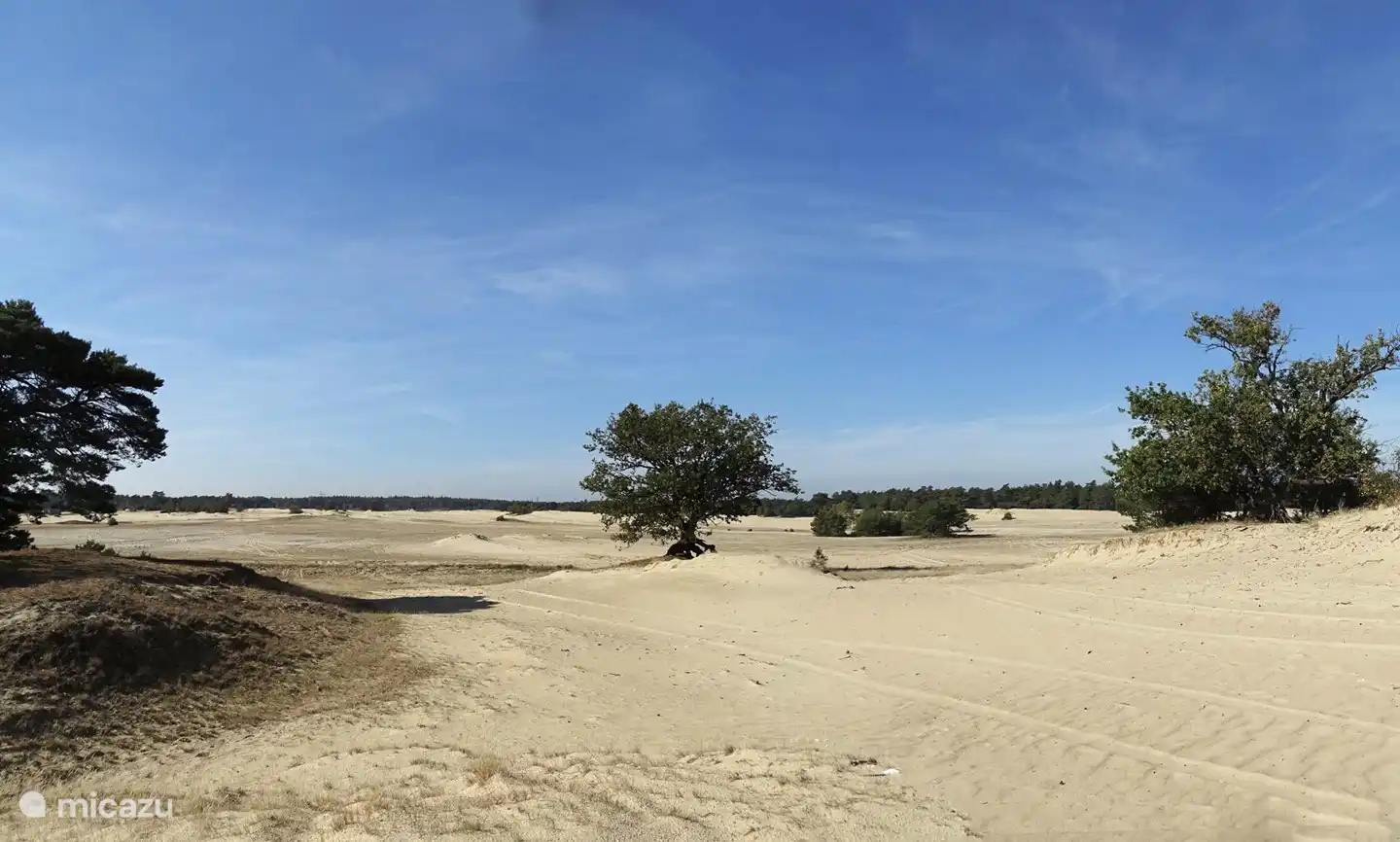 Die nähere Umgebung: Sanddrift 'Beekhuizerzand', Harderwijk / Hierden