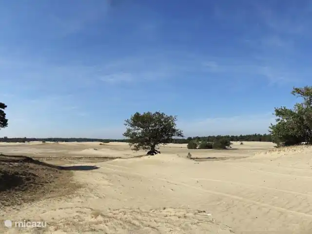 Liv Residence Casa de vacaciones y sauna en Países Bajos, Güeldres, Ermelo - casa vacacional La zona cercana: Beekhuizerzand, Harderwijk/Hierden