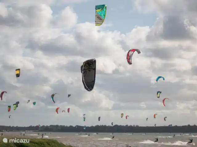 Liv Residence Casa de vacaciones y sauna en Países Bajos, Güeldres, Ermelo - casa vacacional La zona cercana: Playa Horst, Ermelo