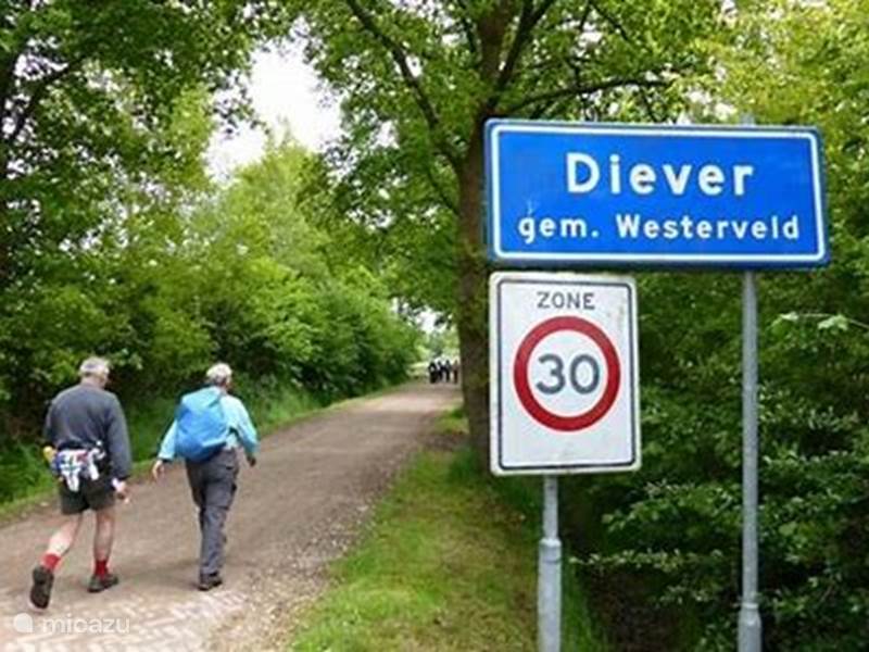 Ferienwohnung Niederlande, Drenthe, Diever Reihenhaus Der Kalterbroek