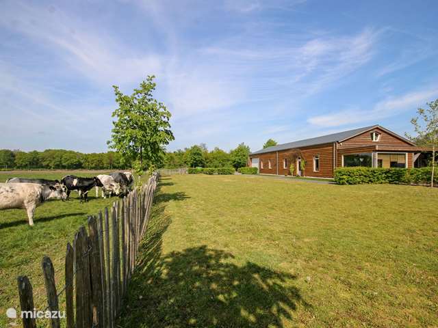 Holiday home in Netherlands, North Brabant, Oploo - holiday house Gasthoeve De Drie Eiken